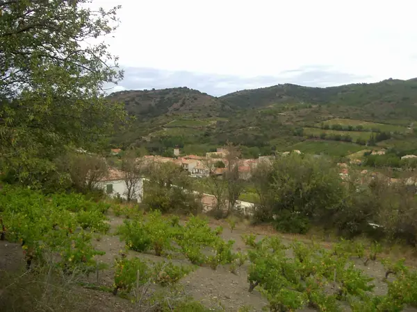 Carport Solaire 11 Installation carport solaire Cascastel-des-Corbières