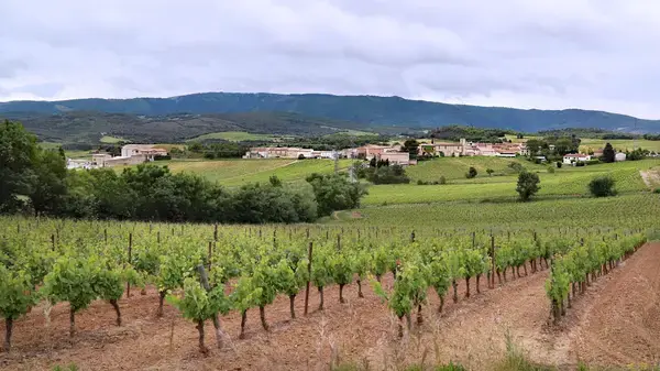 Carport Solaire 11 Installation carport solaire Gardie