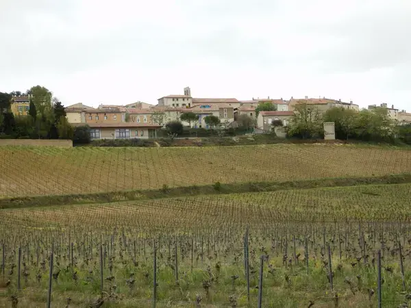 Carport Solaire 11 Installation carport solaire Pauligne