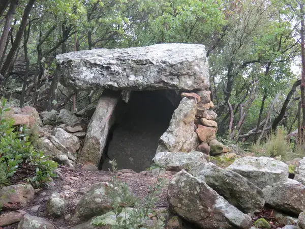 Carport Solaire 11 Installation carport solaire Rouffiac-des-Corbières